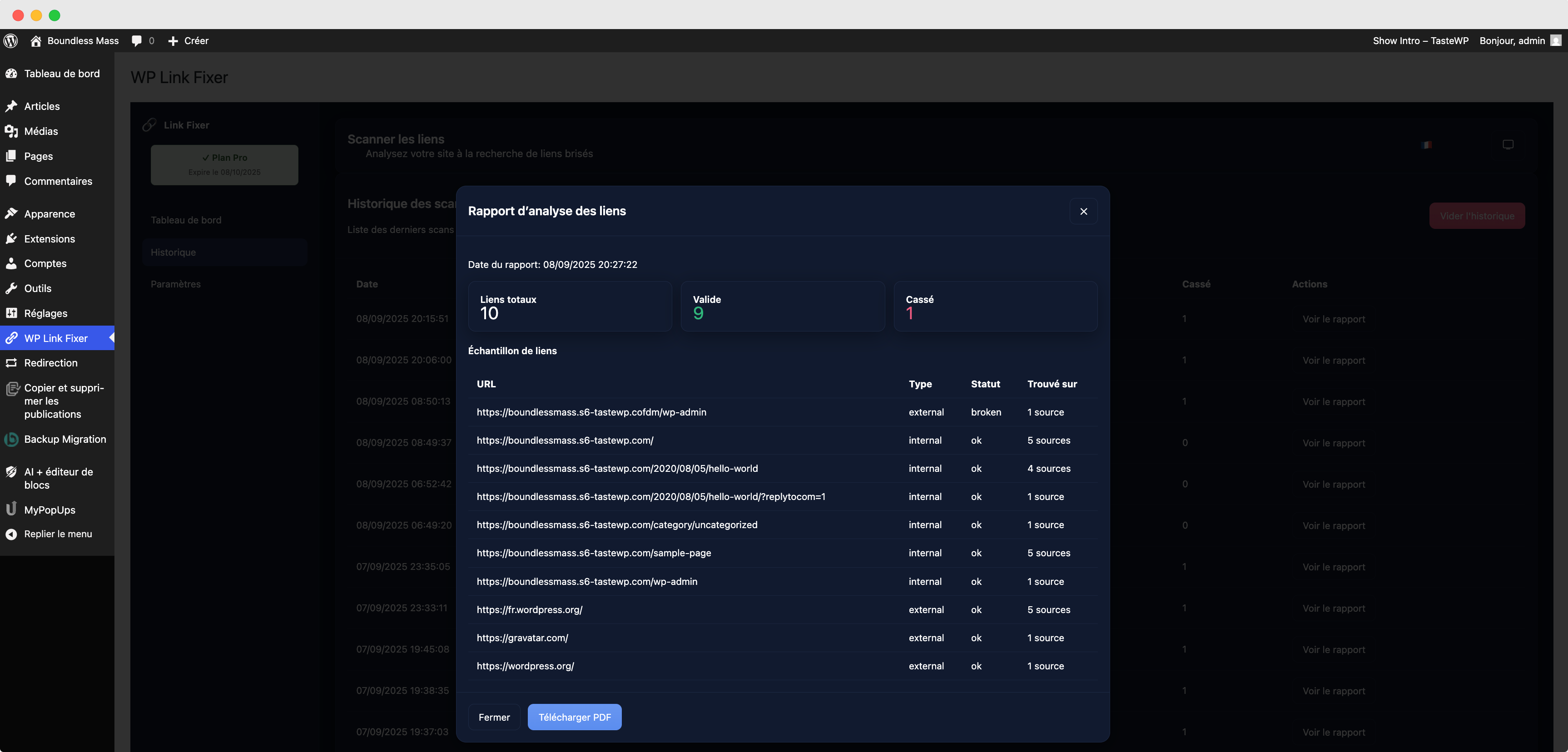 Capture d’écran LinkFixer – aperçu du rapport d’analyse des liens